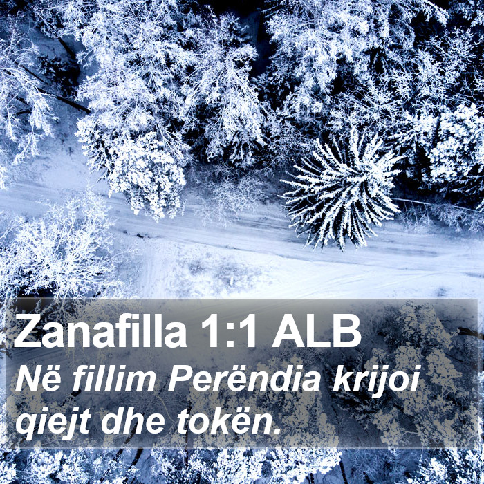 Zanafilla 1:1 ALB Bible Study