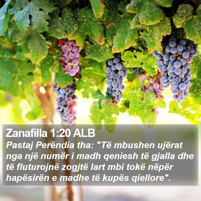 Zanafilla 1:20 ALB Bible Study