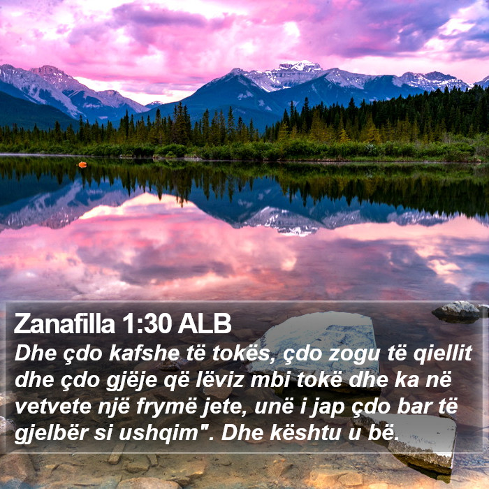 Zanafilla 1:30 ALB Bible Study