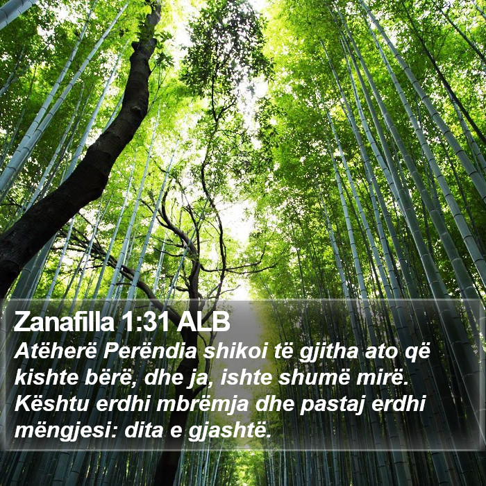 Zanafilla 1:31 ALB Bible Study