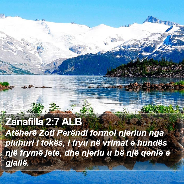 Zanafilla 2:7 ALB Bible Study