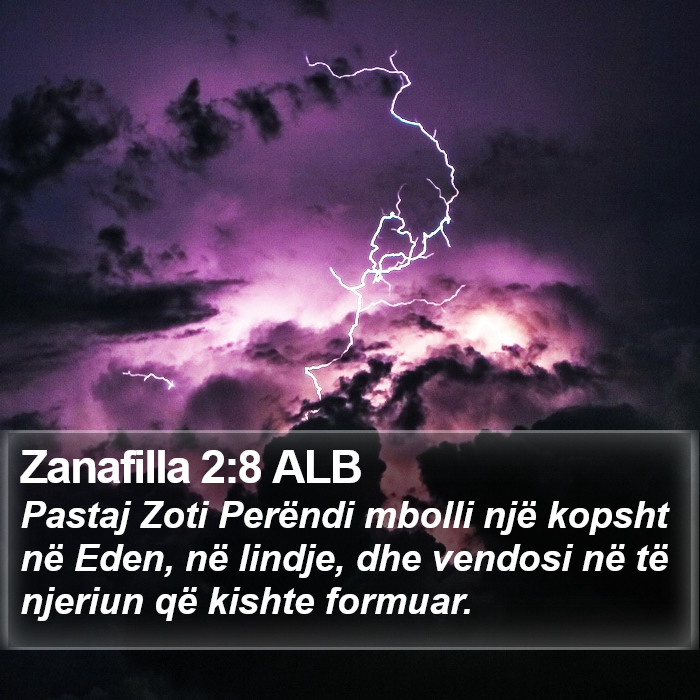 Zanafilla 2:8 ALB Bible Study