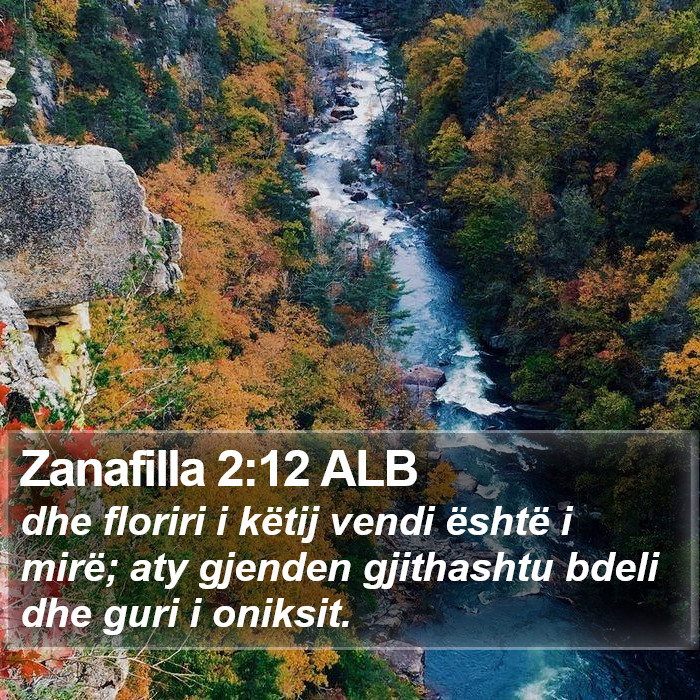 Zanafilla 2:12 ALB Bible Study