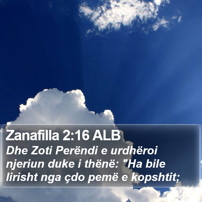 Zanafilla 2:16 ALB Bible Study