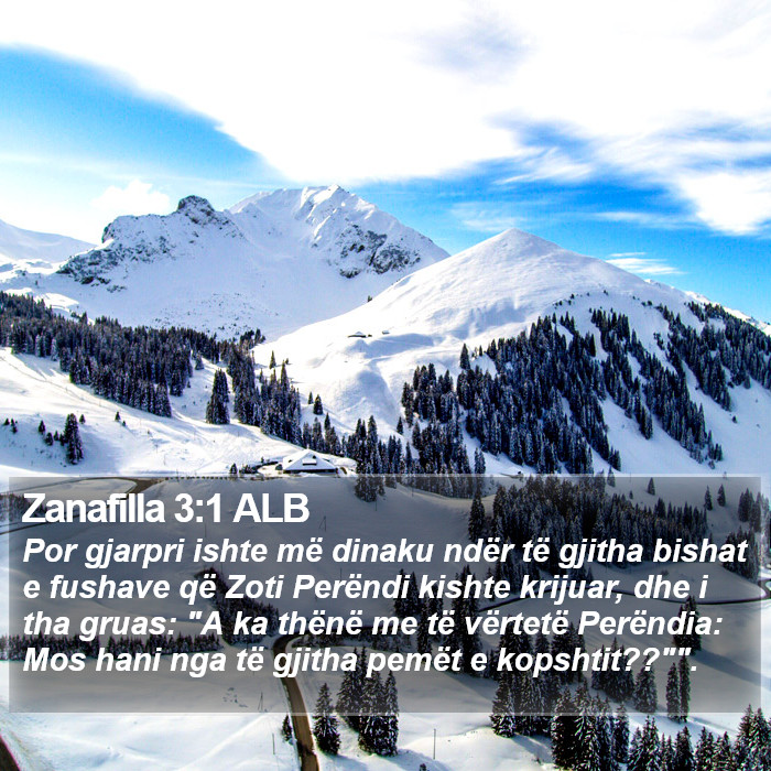 Zanafilla 3:1 ALB Bible Study