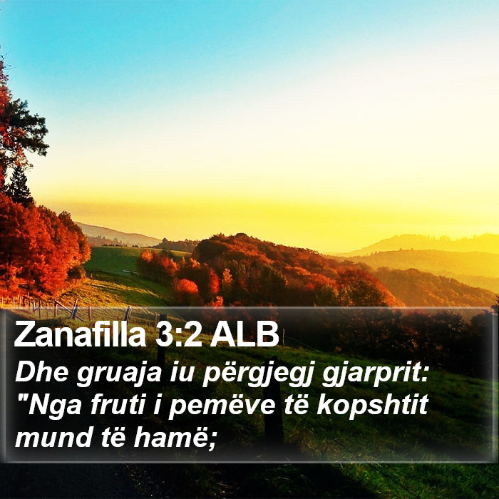 Zanafilla 3:2 ALB Bible Study