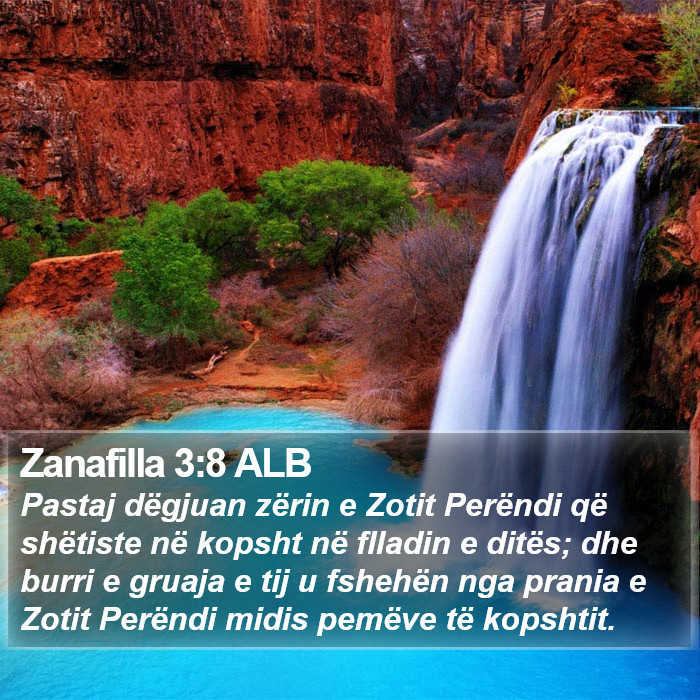 Zanafilla 3:8 ALB Bible Study