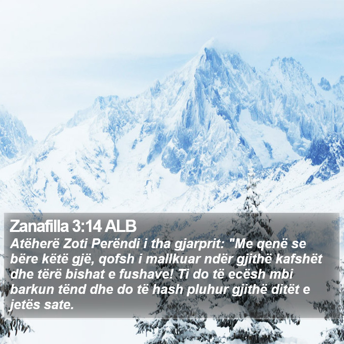 Zanafilla 3:14 ALB Bible Study