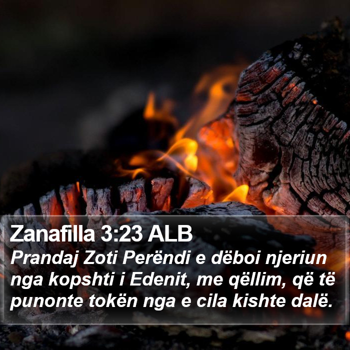 Zanafilla 3:23 ALB Bible Study