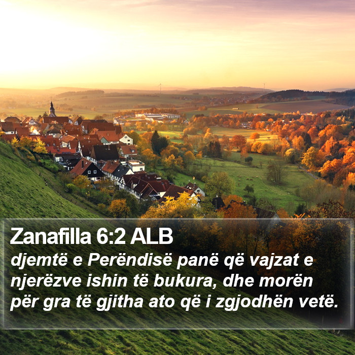 Zanafilla 6:2 ALB Bible Study