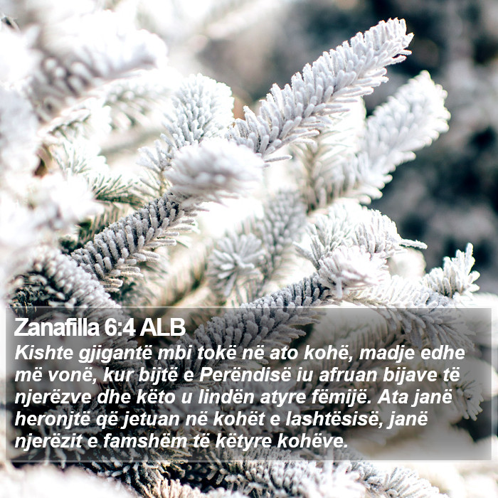 Zanafilla 6:4 ALB Bible Study