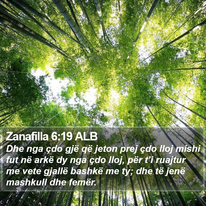 Zanafilla 6:19 ALB Bible Study