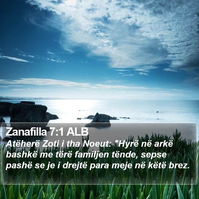 Zanafilla 7:1 ALB Bible Study