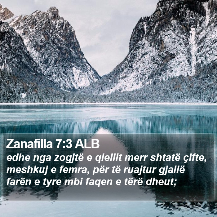 Zanafilla 7:3 ALB Bible Study