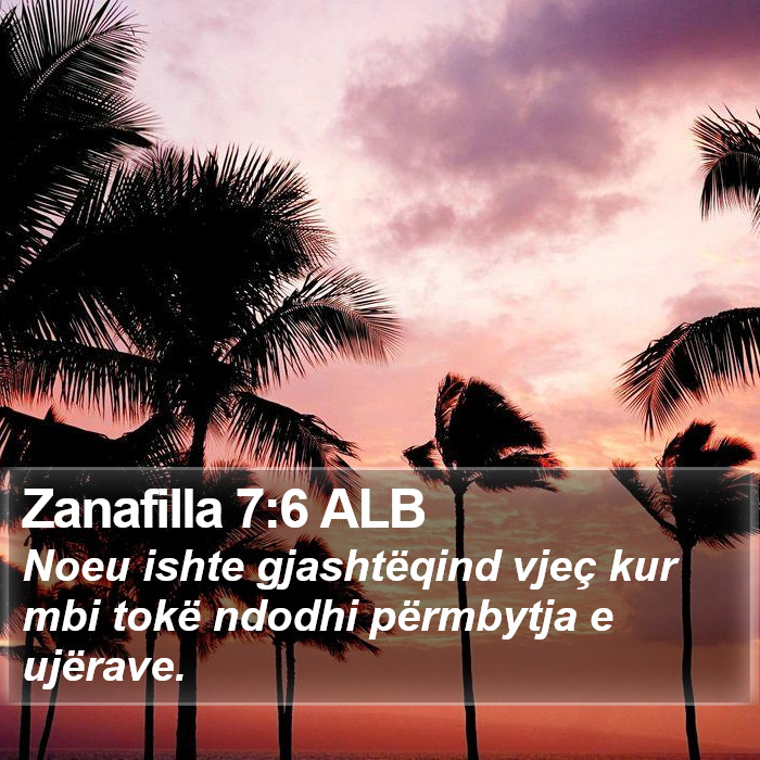 Zanafilla 7:6 ALB Bible Study