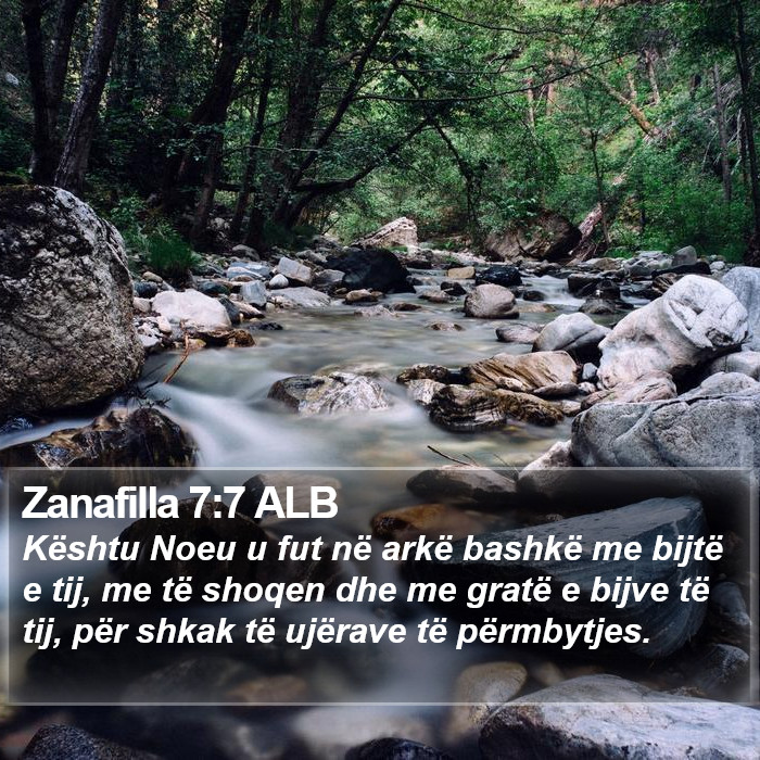 Zanafilla 7:7 ALB Bible Study