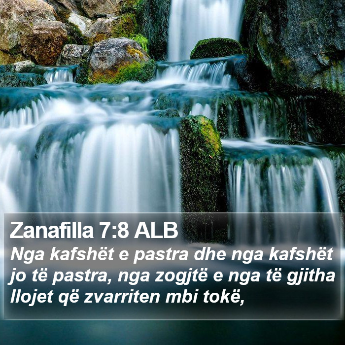 Zanafilla 7:8 ALB Bible Study