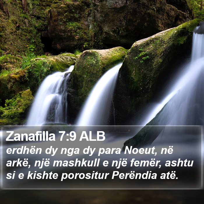 Zanafilla 7:9 ALB Bible Study