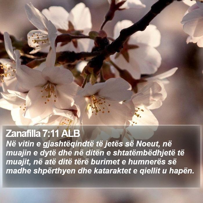 Zanafilla 7:11 ALB Bible Study