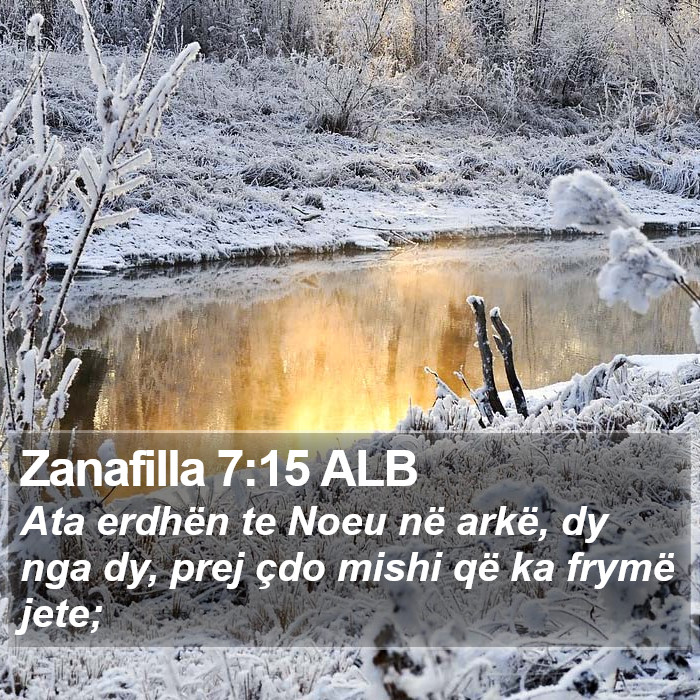 Zanafilla 7:15 ALB Bible Study