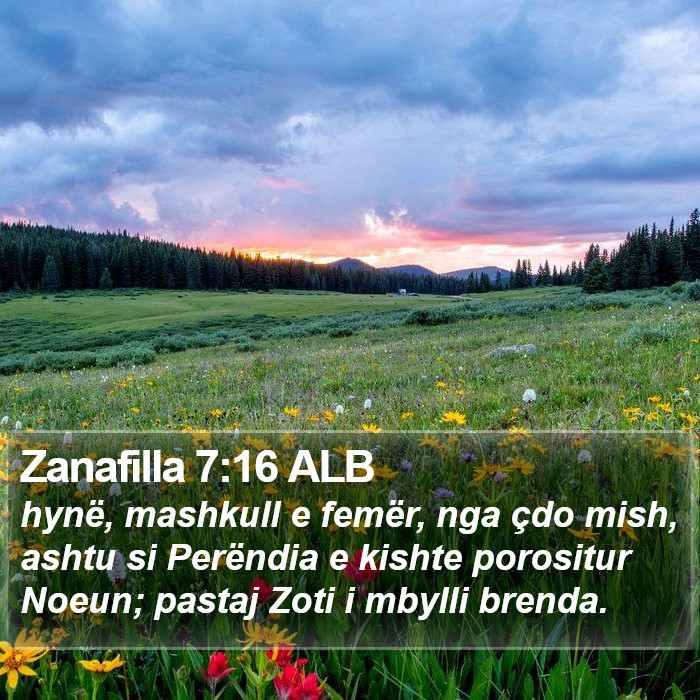 Zanafilla 7:16 ALB Bible Study