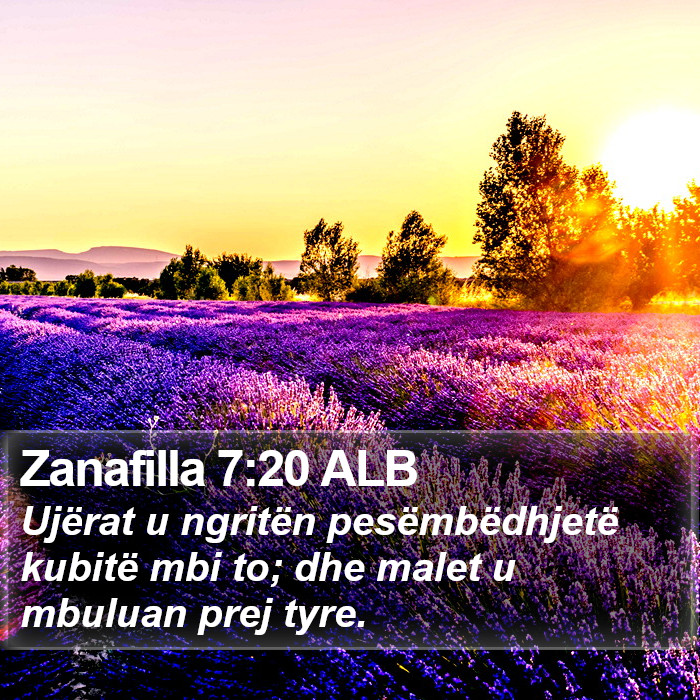 Zanafilla 7:20 ALB Bible Study