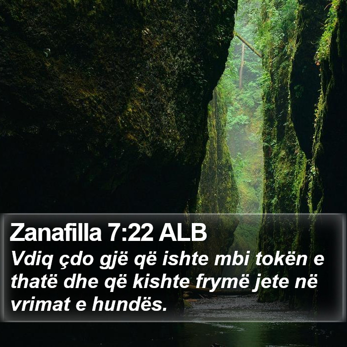 Zanafilla 7:22 ALB Bible Study