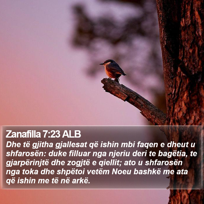 Zanafilla 7:23 ALB Bible Study