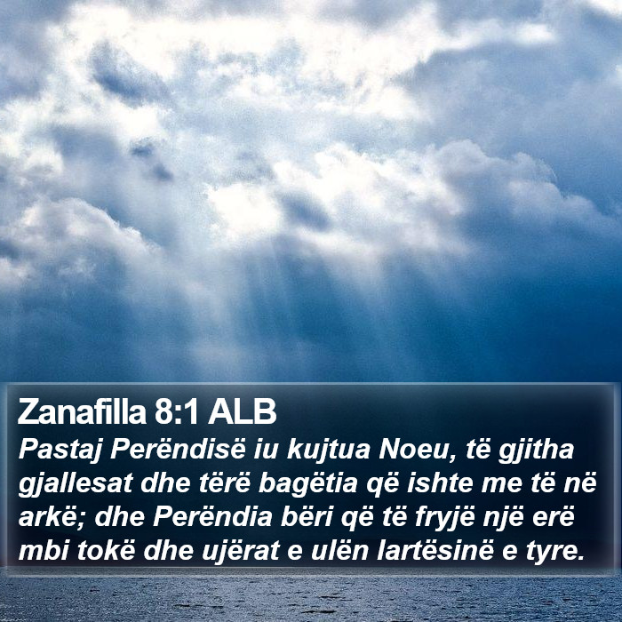 Zanafilla 8:1 ALB Bible Study
