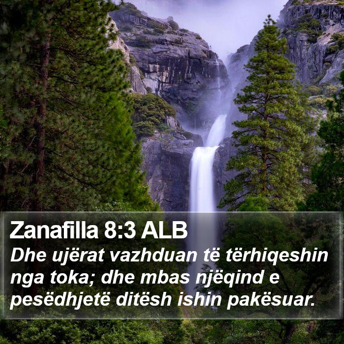 Zanafilla 8:3 ALB Bible Study