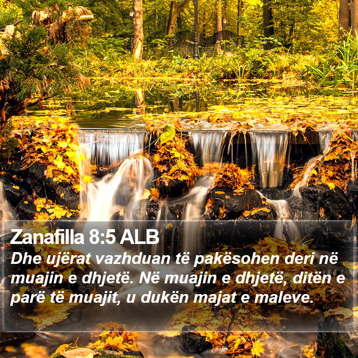 Zanafilla 8:5 ALB Bible Study