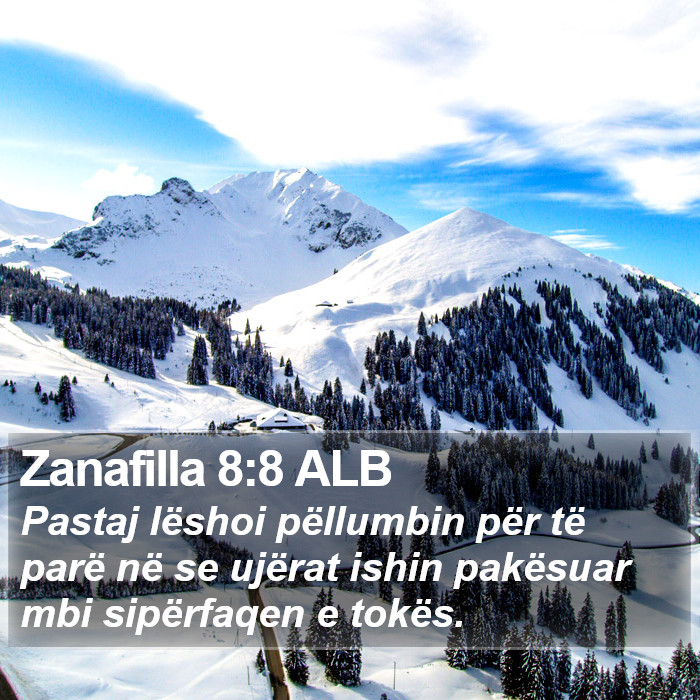 Zanafilla 8:8 ALB Bible Study