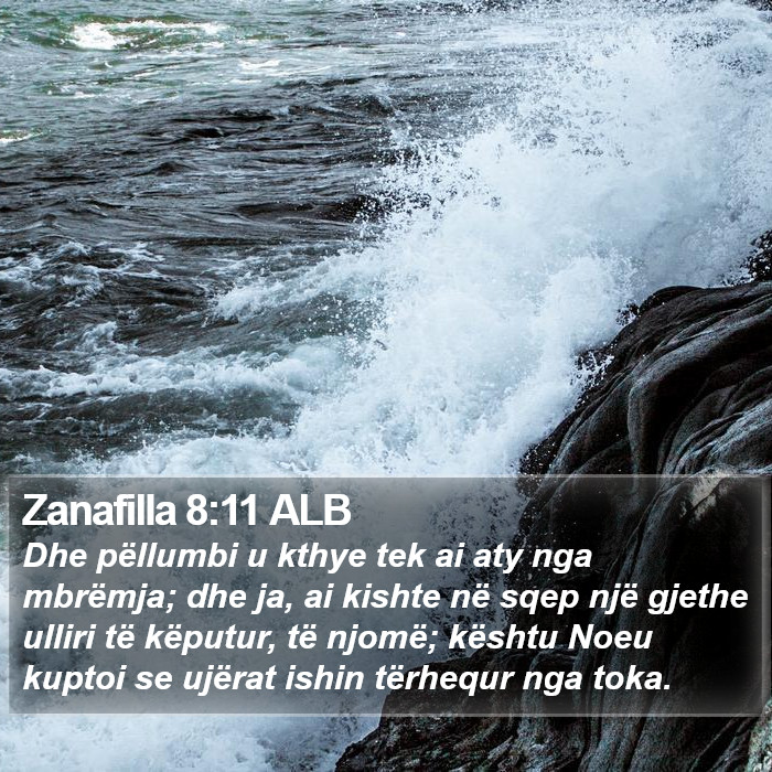 Zanafilla 8:11 ALB Bible Study