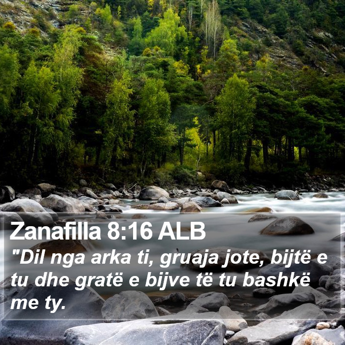 Zanafilla 8:16 ALB Bible Study