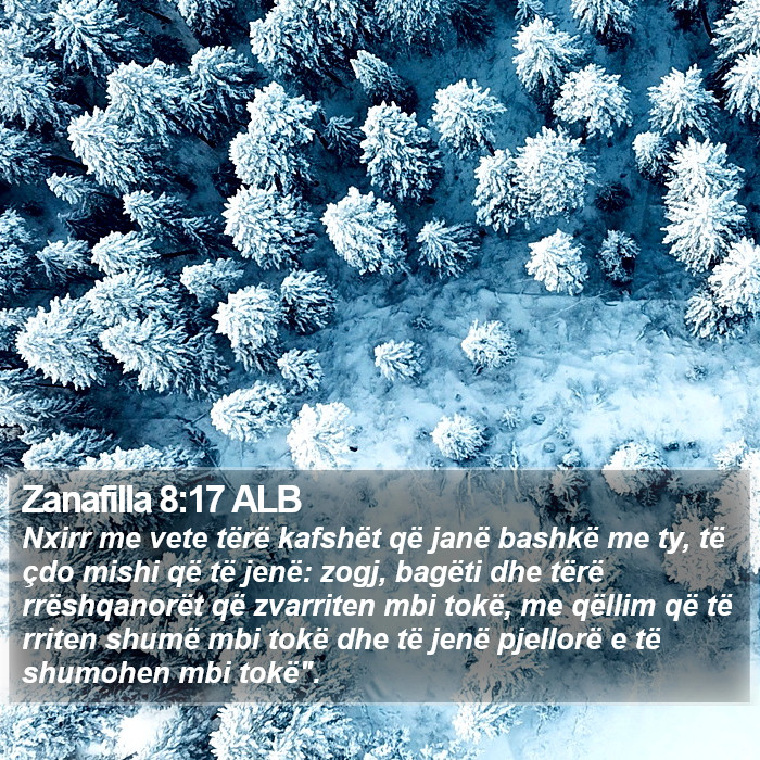 Zanafilla 8:17 ALB Bible Study