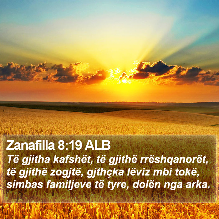 Zanafilla 8:19 ALB Bible Study