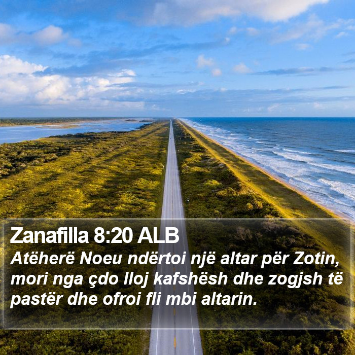 Zanafilla 8:20 ALB Bible Study