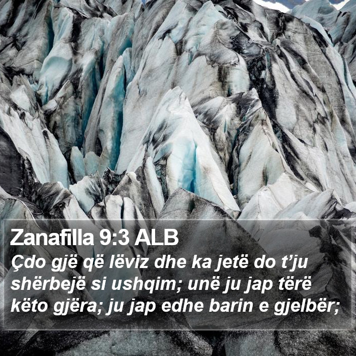 Zanafilla 9:3 ALB Bible Study