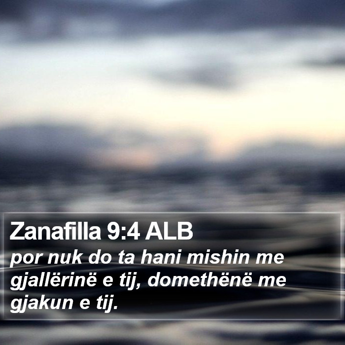 Zanafilla 9:4 ALB Bible Study