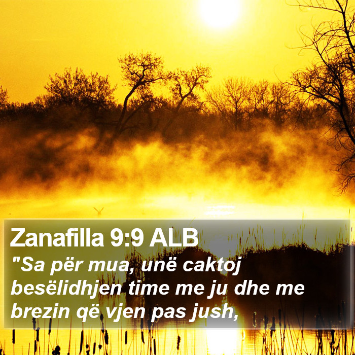 Zanafilla 9:9 ALB Bible Study