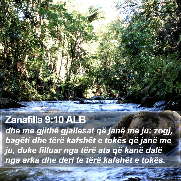 Zanafilla 9:10 ALB Bible Study