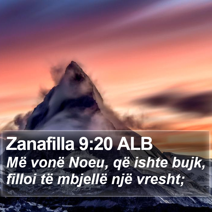 Zanafilla 9:20 ALB Bible Study
