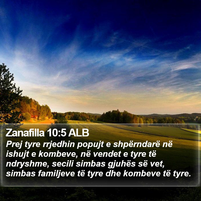 Zanafilla 10:5 ALB Bible Study