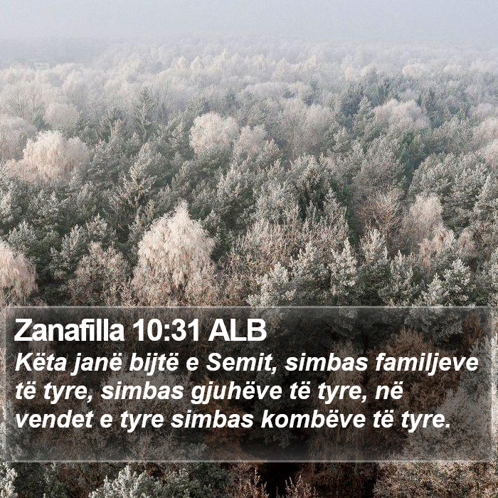 Zanafilla 10:31 ALB Bible Study