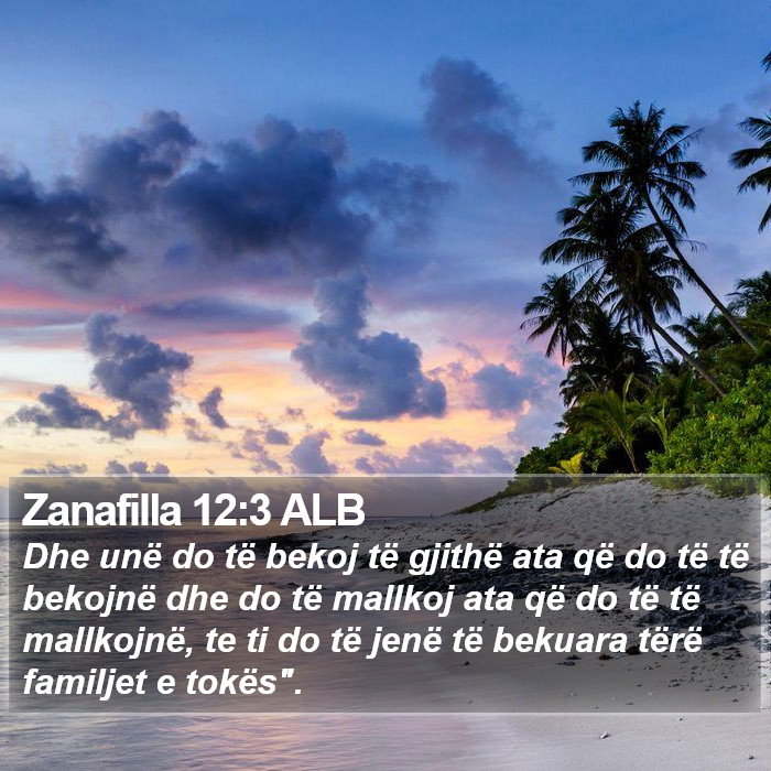 Zanafilla 12:3 ALB Bible Study