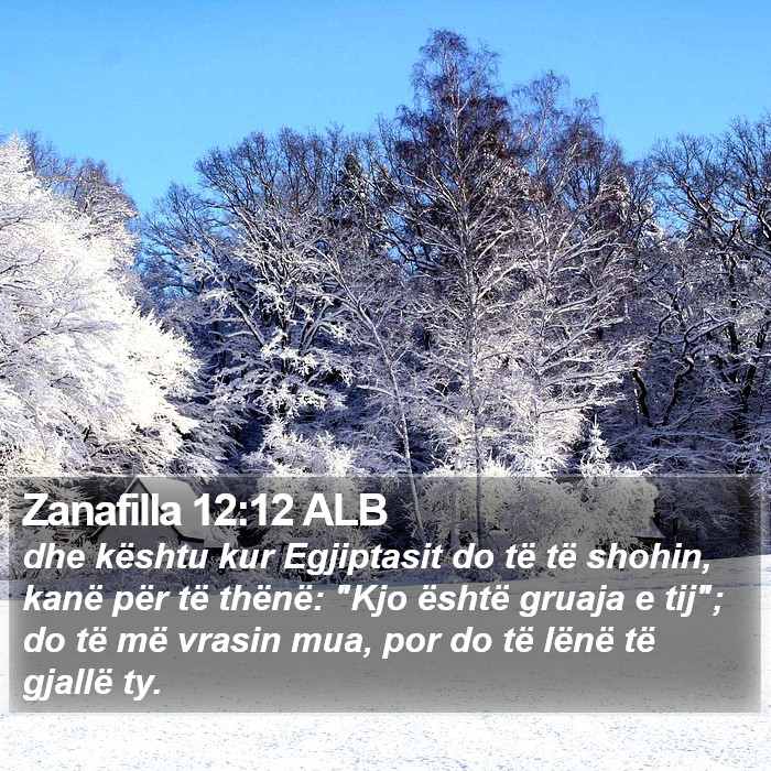 Zanafilla 12:12 ALB Bible Study