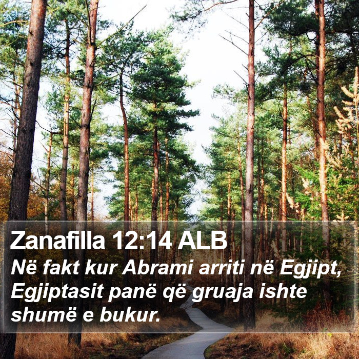 Zanafilla 12:14 ALB Bible Study