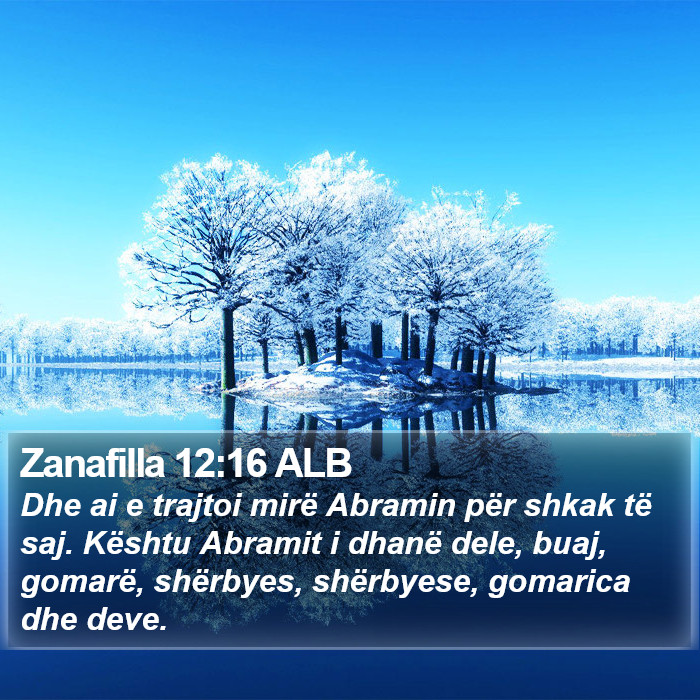 Zanafilla 12:16 ALB Bible Study