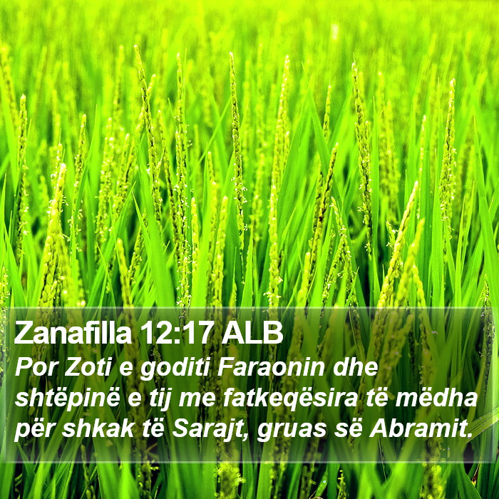 Zanafilla 12:17 ALB Bible Study