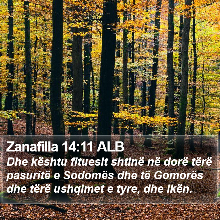 Zanafilla 14:11 ALB Bible Study